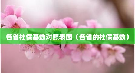各省社保基数对照表图（各省的社保基数）