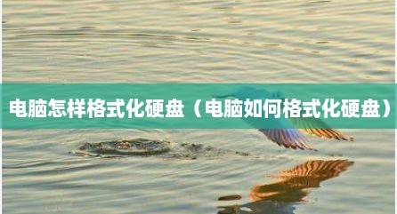 电脑怎样格式化硬盘（电脑如何格式化硬盘）