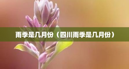 雨季是几月份（四川雨季是几月份）