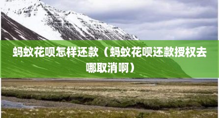 蚂蚁花呗怎样还款（蚂蚁花呗还款授权去哪取消啊）