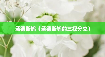孟德斯鸠（孟德斯鸠的三权分立）