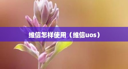 维信怎样使用（维信uos）
