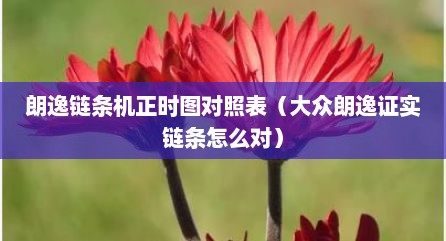 朗逸链条机正时图对照表（大众朗逸证实链条怎么对）