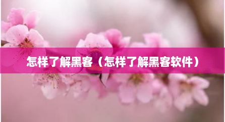 怎样了解黑客（怎样了解黑客软件）