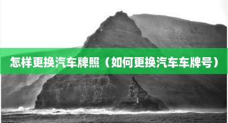 怎样更换汽车牌照（如何更换汽车车牌号）