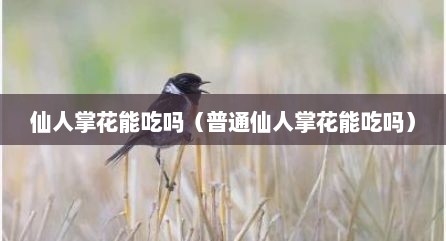 仙人掌花能吃吗（普通仙人掌花能吃吗）