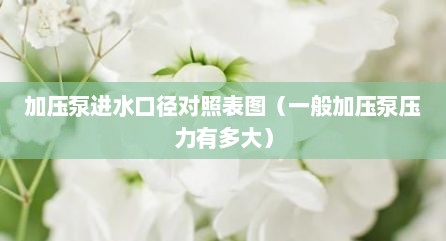 加压泵进水口径对照表图（一般加压泵压力有多大）