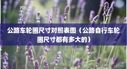 公路车轮圈尺寸对照表图（公路自行车轮圈尺寸都有多大的）