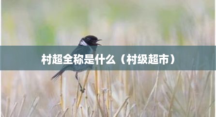村超全称是什么（村级超市）