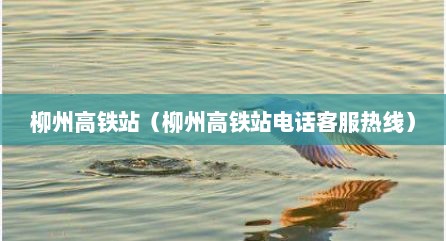 柳州高铁站（柳州高铁站电话客服热线）