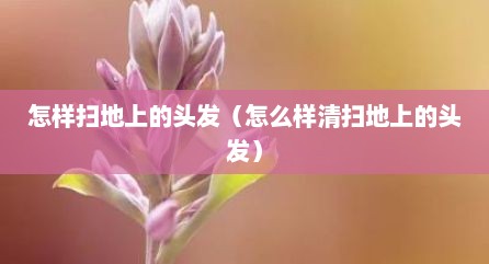 怎样扫地上的头发（怎么样清扫地上的头发）