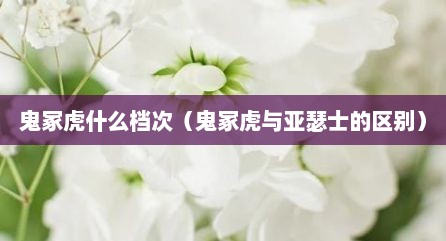 鬼冢虎什么档次（鬼冢虎与亚瑟士的区别）
