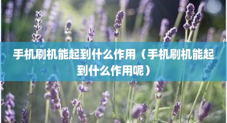 手机刷机能起到什么作用（手机刷机能起到什么作用呢）