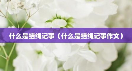 什么是结绳记事（什么是结绳记事作文）