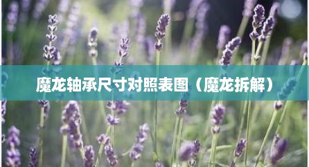 魔龙轴承尺寸对照表图（魔龙拆解）
