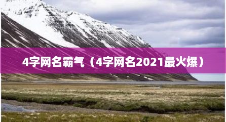 4字网名霸气（4字网名2021最火爆）