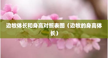 边牧体长和身高对照表图（边牧的身高体长）