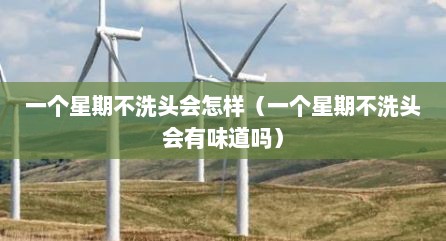 一个星期不洗头会怎样（一个星期不洗头会有味道吗）