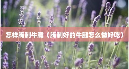 怎样腌制牛腱（腌制好的牛腱怎么做好吃）