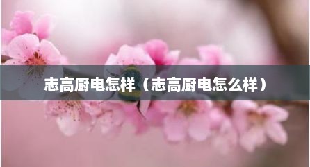 志高厨电怎样（志高厨电怎么样）