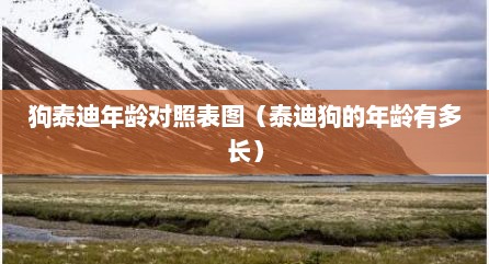 狗泰迪年龄对照表图（泰迪狗的年龄有多长）
