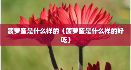 菠萝蜜是什么样的（菠萝蜜是什么样的好吃）