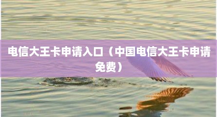 电信大王卡申请入口（中国电信大王卡申请免费）
