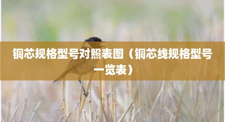 铜芯规格型号对照表图（铜芯线规格型号一览表）