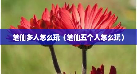 笔仙多人怎么玩（笔仙五个人怎么玩）