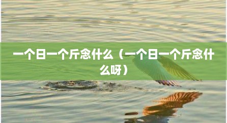 一个日一个斤念什么（一个日一个斤念什么呀）