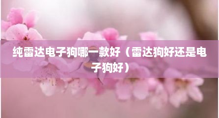 纯雷达电子狗哪一款好（雷达狗好还是电子狗好）