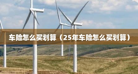 车险怎么买划算（25年车险怎么买划算）