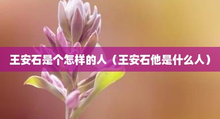 王安石是个怎样的人（王安石他是什么人）