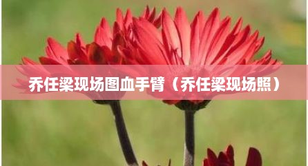 乔任梁现场图血手臂（乔任梁现场照）