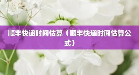 顺丰快递时间估算（顺丰快递时间估算公式）