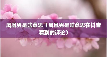 凤凰男是啥意思（凤凰男是啥意思在抖音看到的评论）