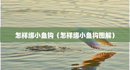 怎样绑小鱼钩（怎样绑小鱼钩图解）