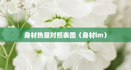 身材热量对照表图（身材lm）