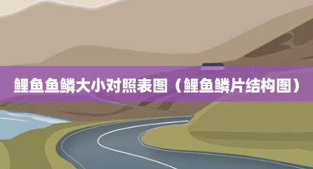鲤鱼鱼鳞大小对照表图（鲤鱼鳞片结构图）