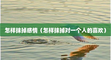 怎样抹掉感情（怎样抹掉对一个人的喜欢）