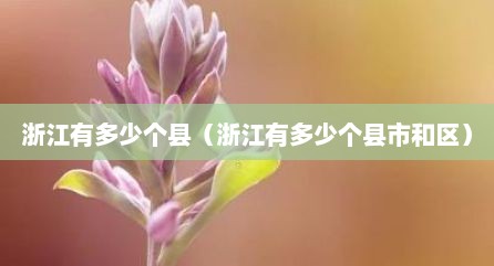 浙江有多少个县（浙江有多少个县市和区）