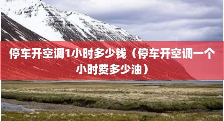 停车开空调1小时多少钱（停车开空调一个小时费多少油）
