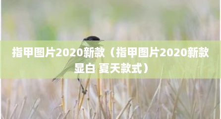 指甲图片2020新款（指甲图片2020新款显白 夏天款式）