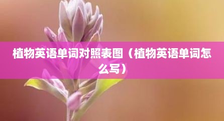 植物英语单词对照表图（植物英语单词怎么写）