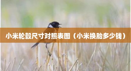 小米轮毂尺寸对照表图（小米换胎多少钱）