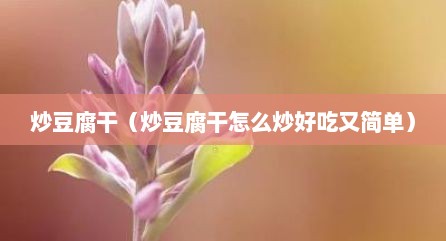 炒豆腐干（炒豆腐干怎么炒好吃又简单）