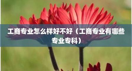 工商专业怎么样好不好（工商专业有哪些专业专科）