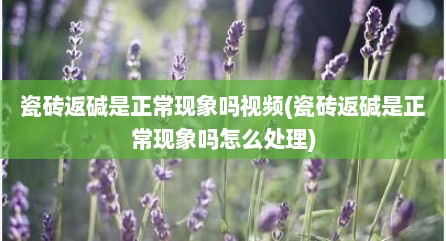 瓷砖返碱是正常现象吗视频(瓷砖返碱是正常现象吗怎么处理)