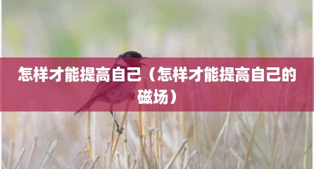 怎样才能提高自己（怎样才能提高自己的磁场）