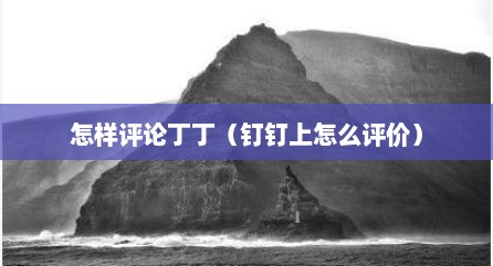 怎样评论丁丁（钉钉上怎么评价）